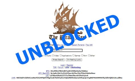 the pirate bay unblocked.